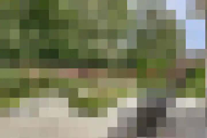 Dwarsweg 16 Rockanje thumbnail 58