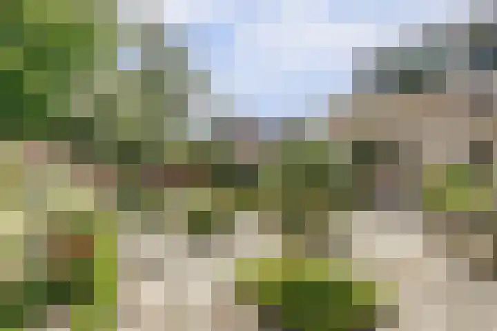 Dwarsweg 16 Rockanje thumbnail 59