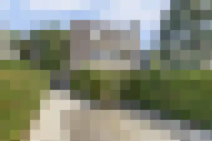 Dwarsweg 16 Rockanje thumbnail 6