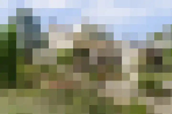 Dwarsweg 16 Rockanje thumbnail 60