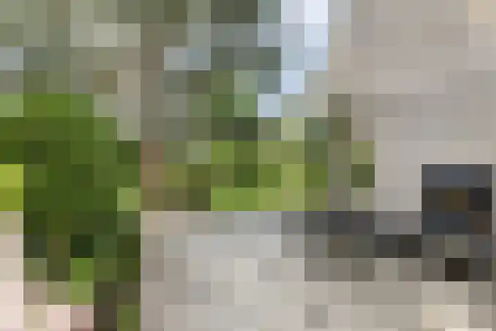 Dwarsweg 16 Rockanje thumbnail 61
