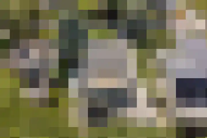 Dwarsweg 16 Rockanje thumbnail 63