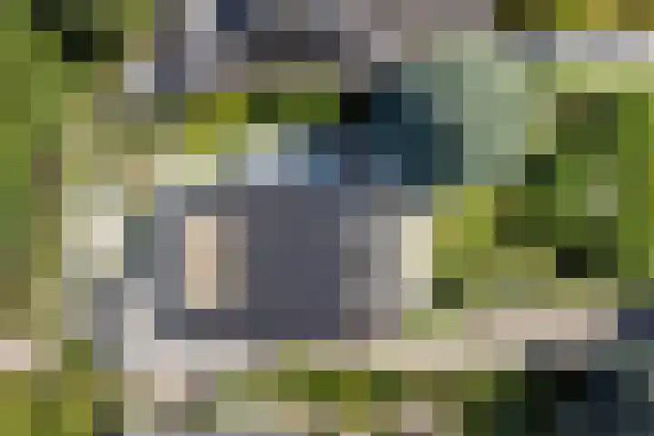 Dwarsweg 16 Rockanje thumbnail 64