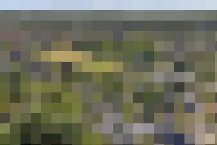 Dwarsweg 16 Rockanje thumbnail 65