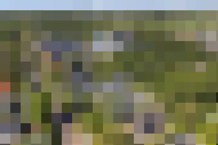 Dwarsweg 16 Rockanje thumbnail 66