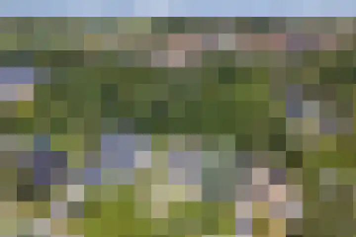 Dwarsweg 16 Rockanje thumbnail 67