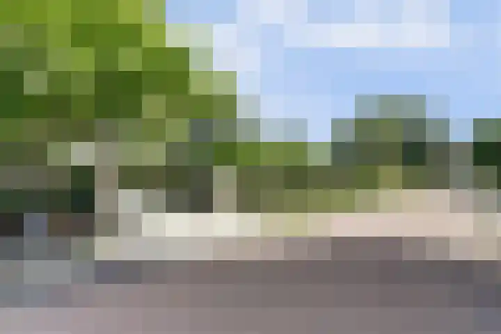 Dwarsweg 16 Rockanje thumbnail 68