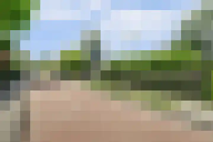 Dwarsweg 16 Rockanje thumbnail 69