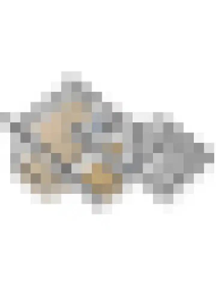 Dwarsweg 16 Rockanje thumbnail 73