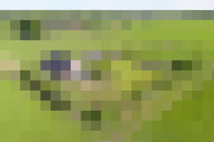 Dwarsweg 2 A Eesveen thumbnail 10