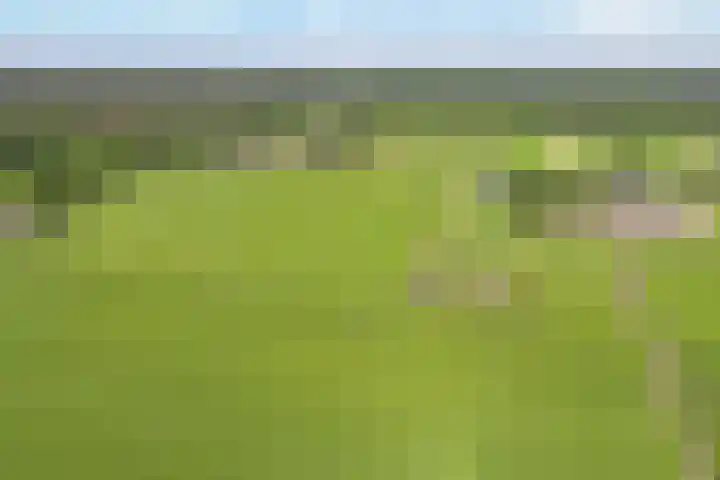 Dwarsweg 2 A Eesveen thumbnail 11