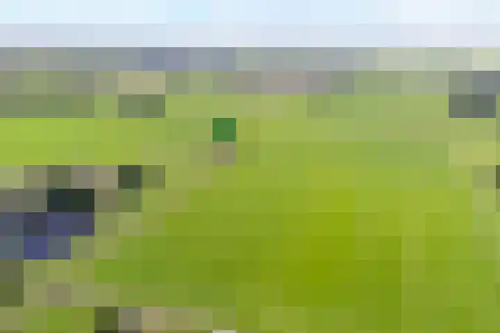 Dwarsweg 2 A Eesveen thumbnail 12