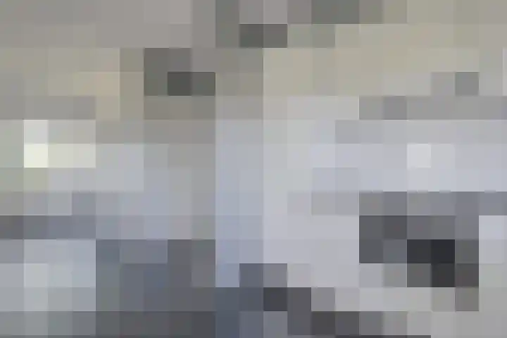 Dwarsweg 2 A Eesveen thumbnail 24