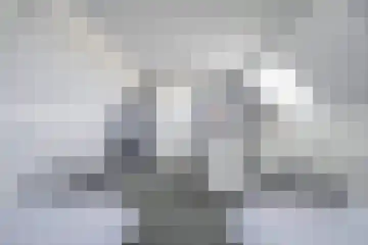 Dwarsweg 2 A Eesveen thumbnail 33