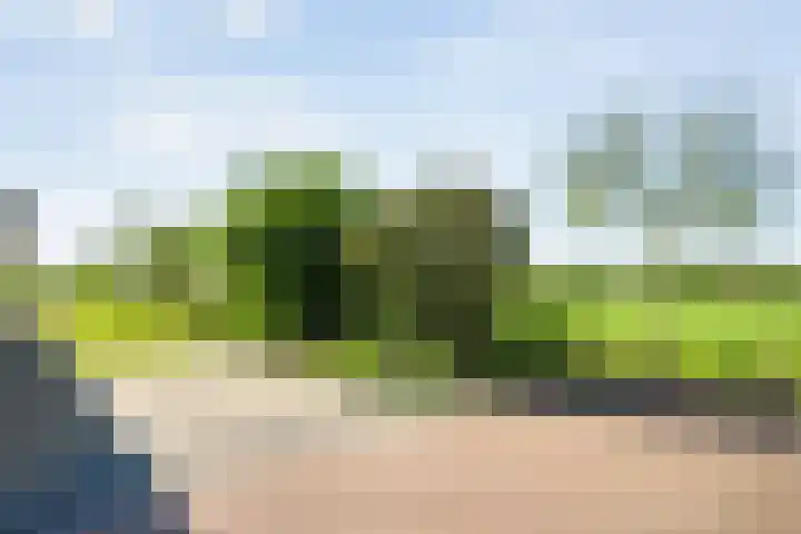 Dwarsweg 2 A Eesveen thumbnail 40