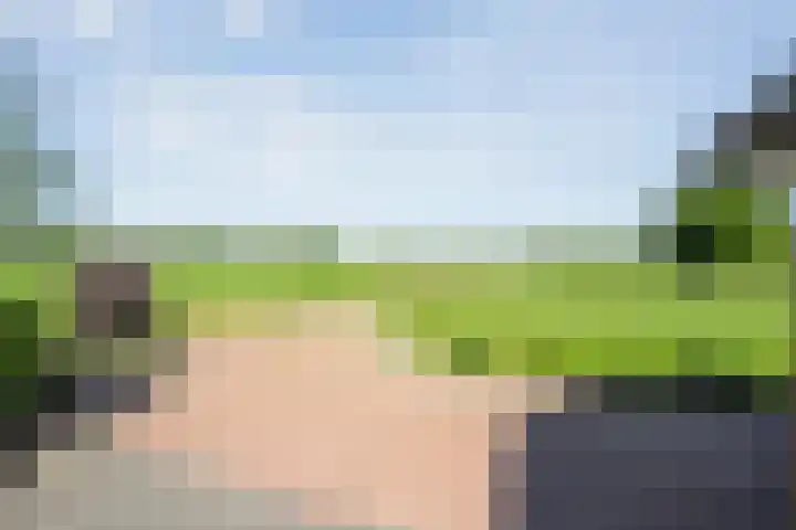 Dwarsweg 2 A Eesveen thumbnail 41