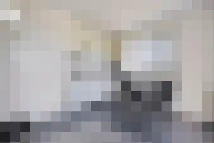Dwarsweg 2 A Eesveen thumbnail 48