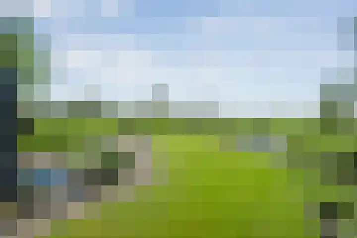 Dwarsweg 2 A Eesveen thumbnail 54