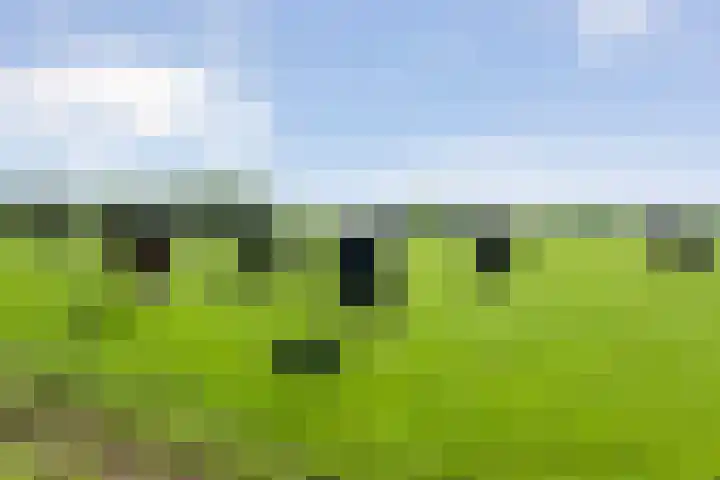Dwarsweg 2 A Eesveen thumbnail 57
