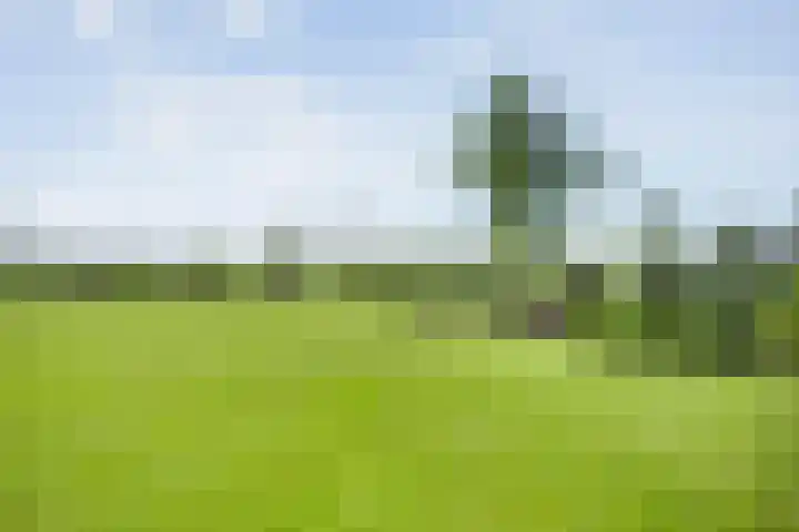 Dwarsweg 2 A Eesveen thumbnail 58