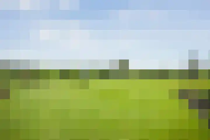 Dwarsweg 2 A Eesveen thumbnail 59
