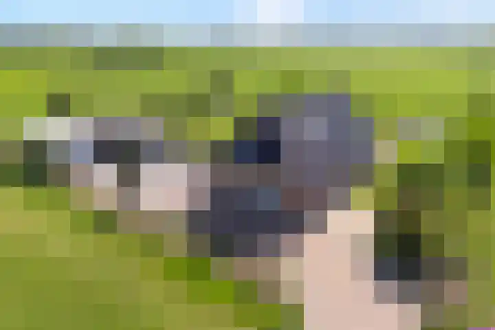 Dwarsweg 2 A Eesveen thumbnail 7