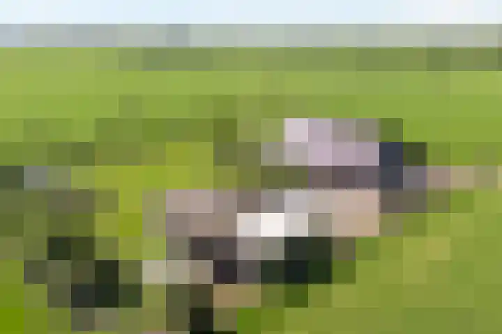 Dwarsweg 2 A Eesveen thumbnail 8