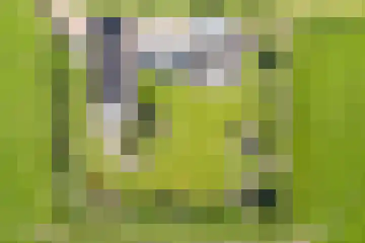 Dwarsweg 2 A Eesveen thumbnail 9