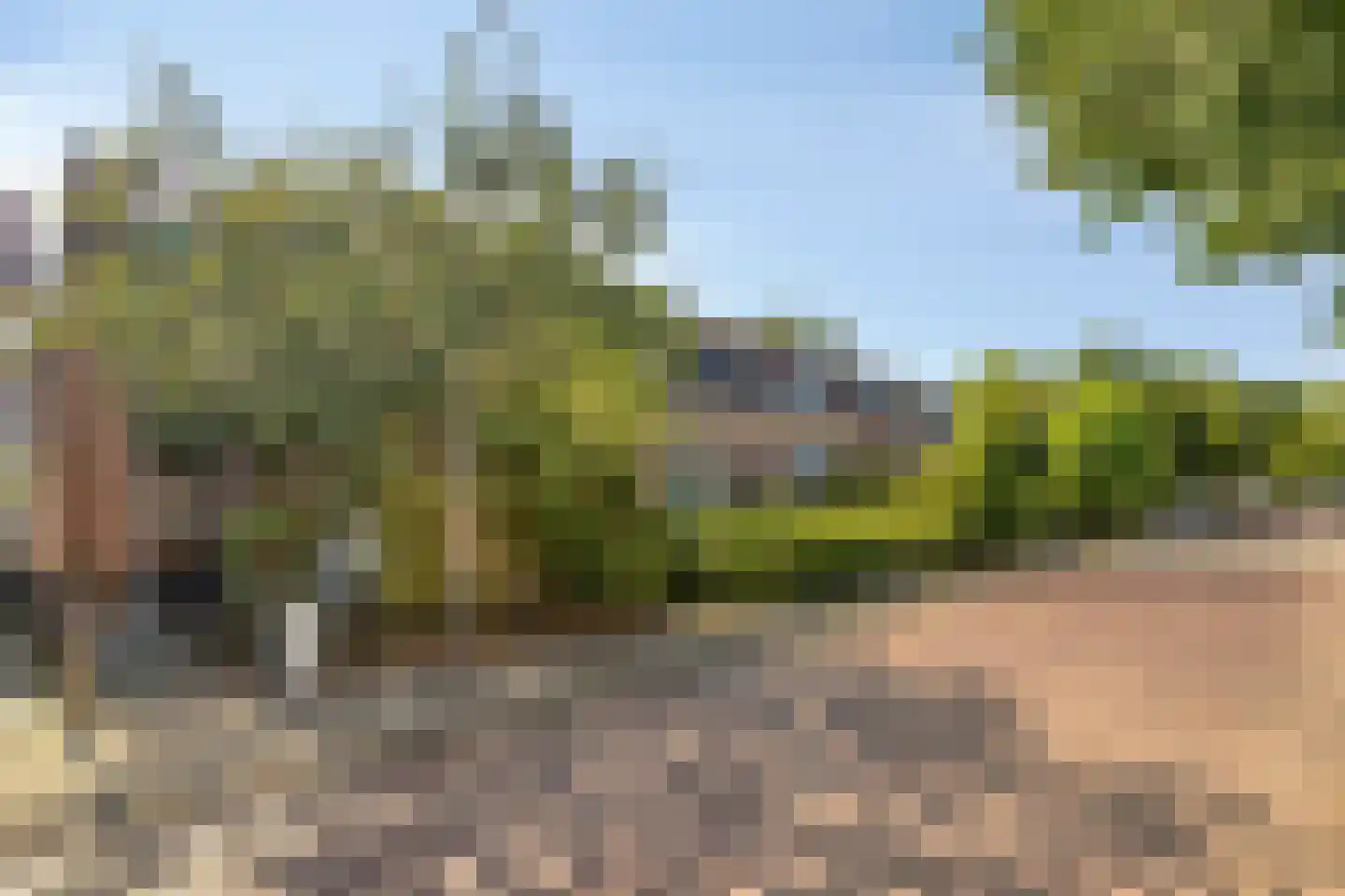 Dwarsweg 20 Zeist foto 2
