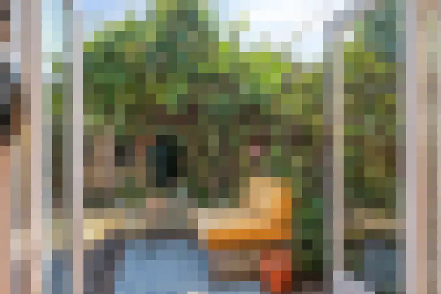 Dwarsweg 20 Zeist thumbnail 26