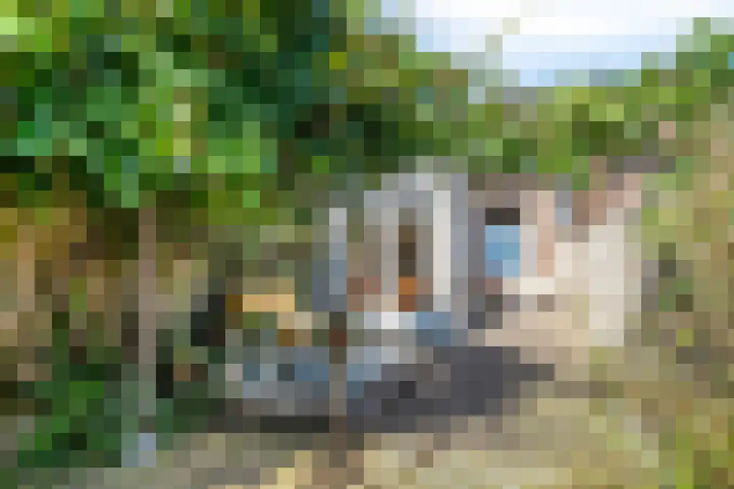 Dwarsweg 20 Zeist thumbnail 29