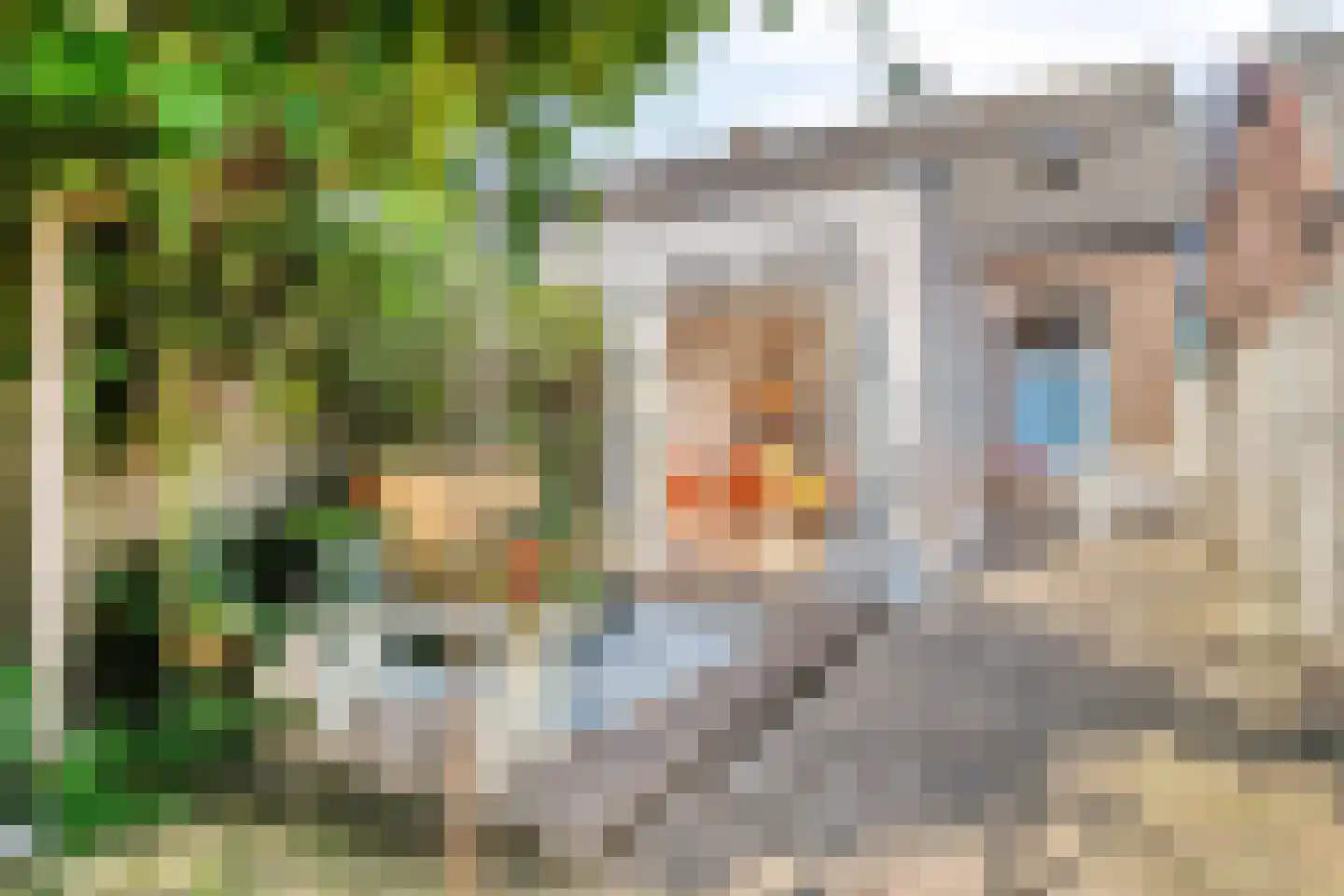 Dwarsweg 20 Zeist thumbnail 30