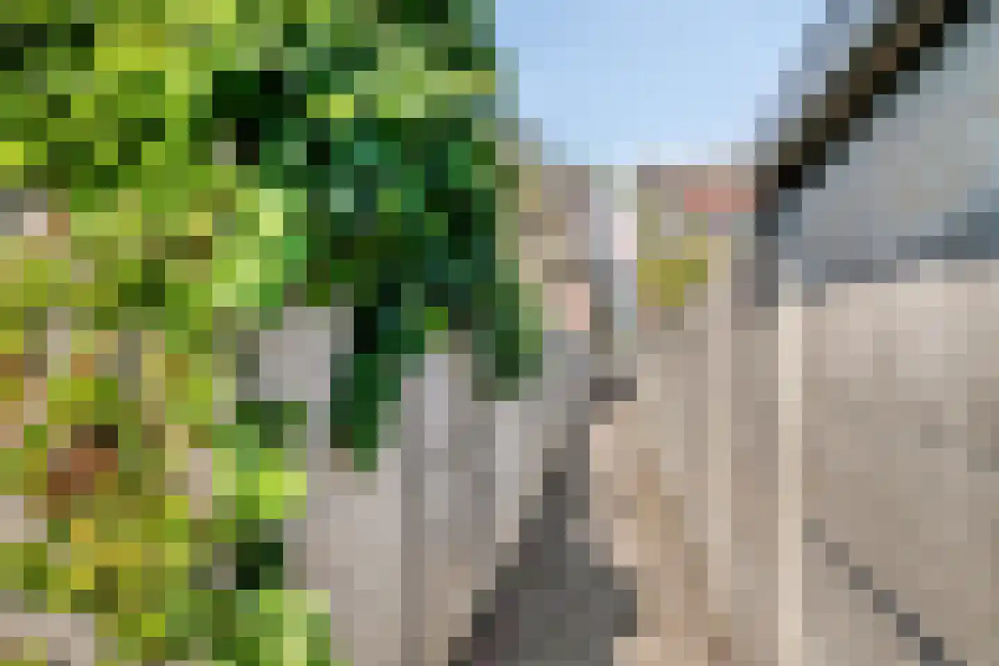 Dwarsweg 20 Zeist thumbnail 32