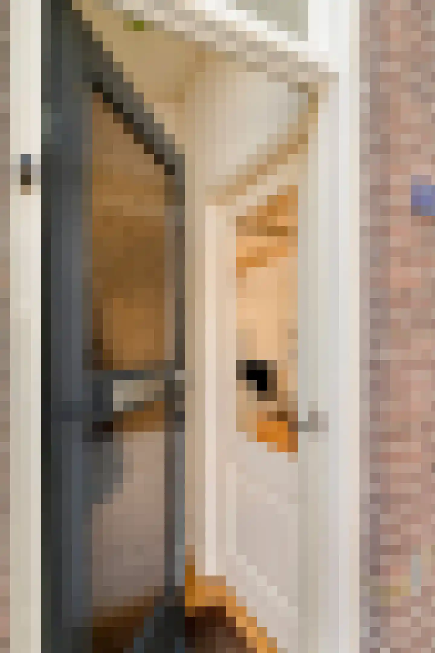 Dwarsweg 20 Zeist thumbnail 4