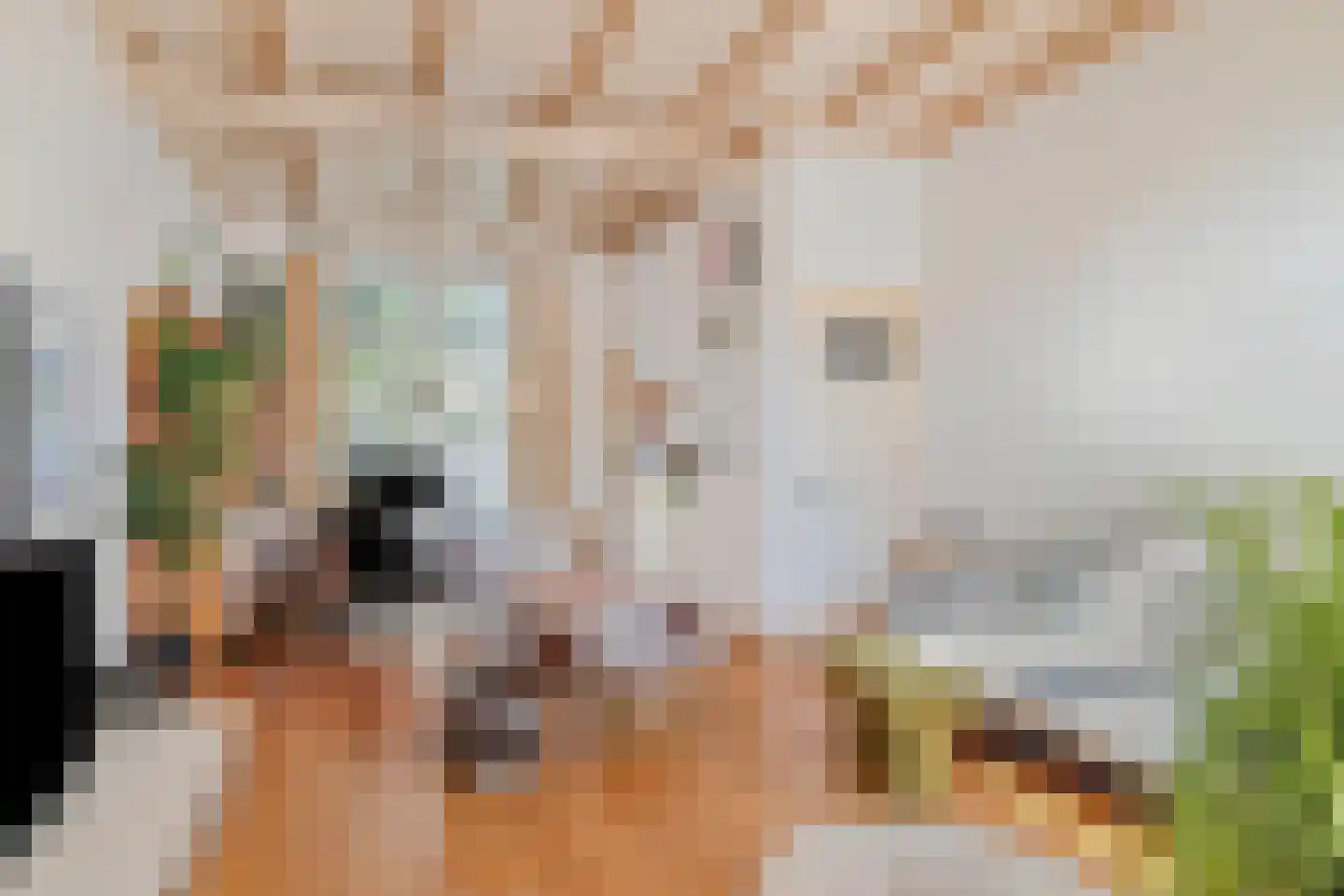 Dwarsweg 20 Zeist thumbnail 7