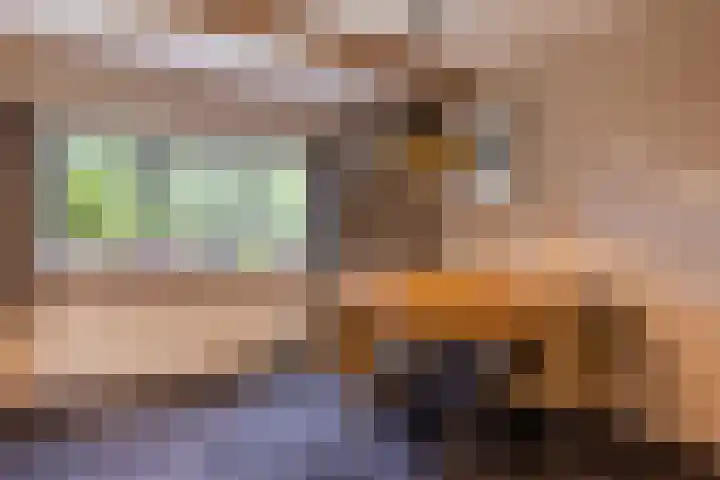 Dwarsweg 21 Winterswijk Ratum thumbnail 11