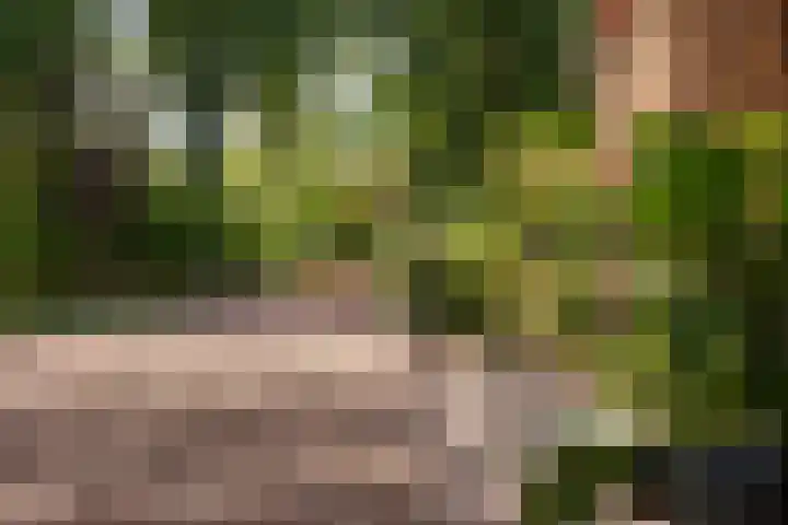Dwarsweg 21 Winterswijk Ratum thumbnail 23