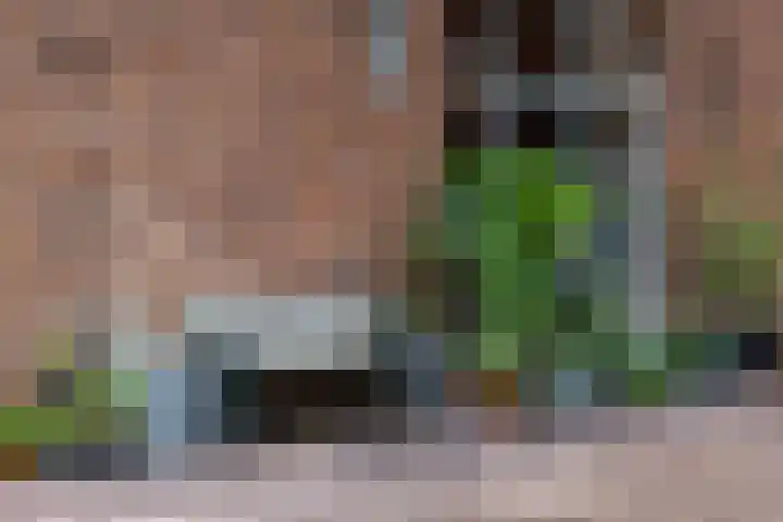 Dwarsweg 21 Winterswijk Ratum thumbnail 24