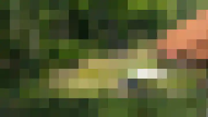 Dwarsweg 21 Winterswijk Ratum thumbnail 30