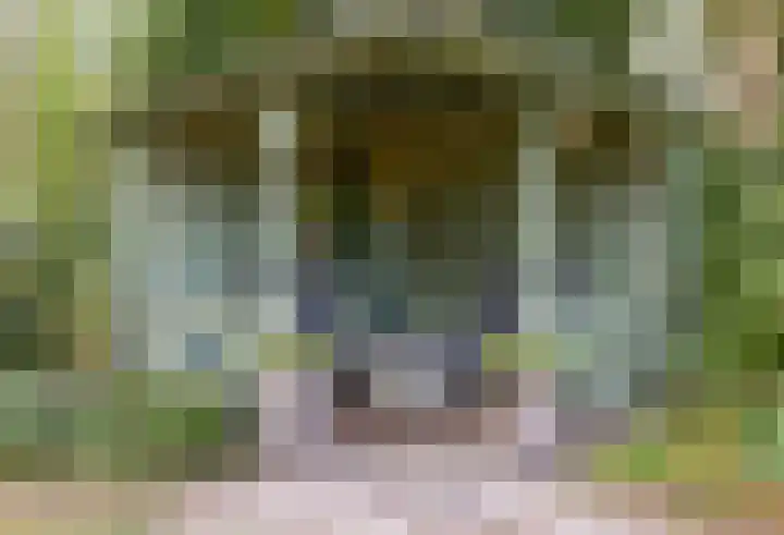 Dwarsweg 21 Winterswijk Ratum thumbnail 32
