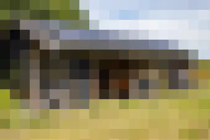 Dwarsweg 21 Winterswijk Ratum thumbnail 33