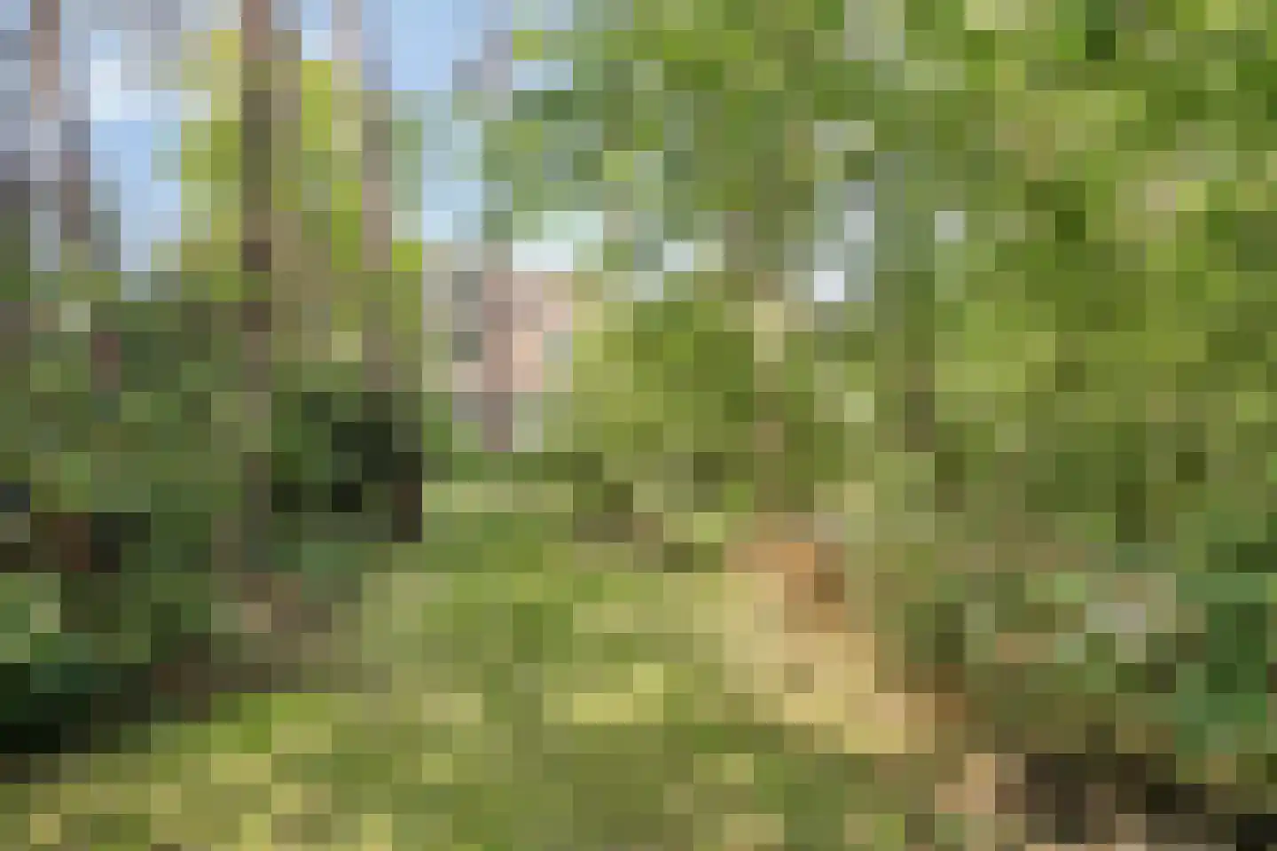 Dwarsweg 22 a Overberg thumbnail 64