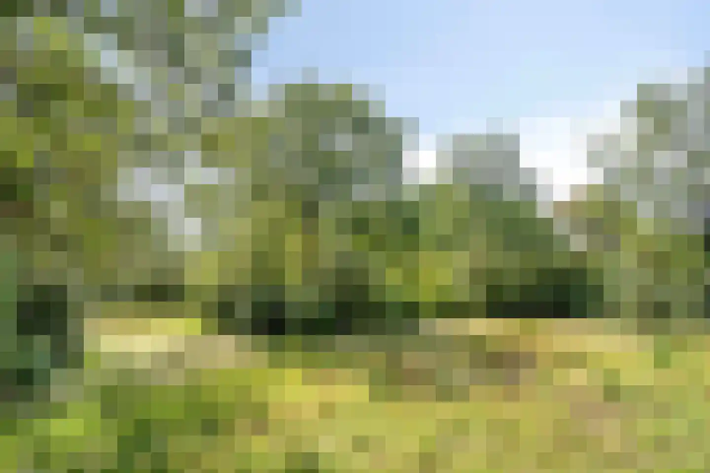 Dwarsweg 22 a Overberg thumbnail 69