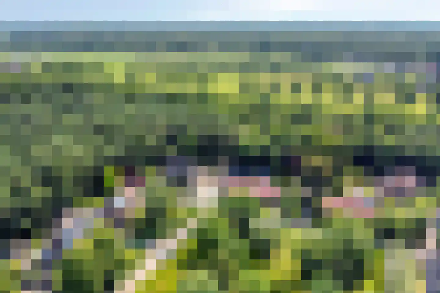 Dwarsweg 22 a Overberg thumbnail 72