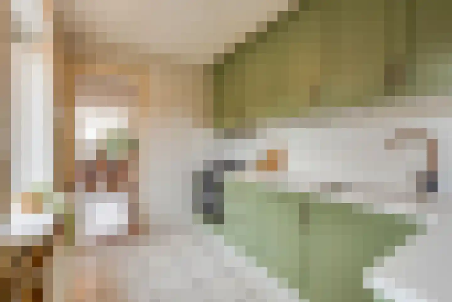 Dwarsweg 22 Zeist thumbnail 12