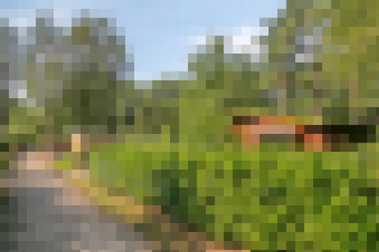 Dwarsweg 3 12 Overberg thumbnail 5