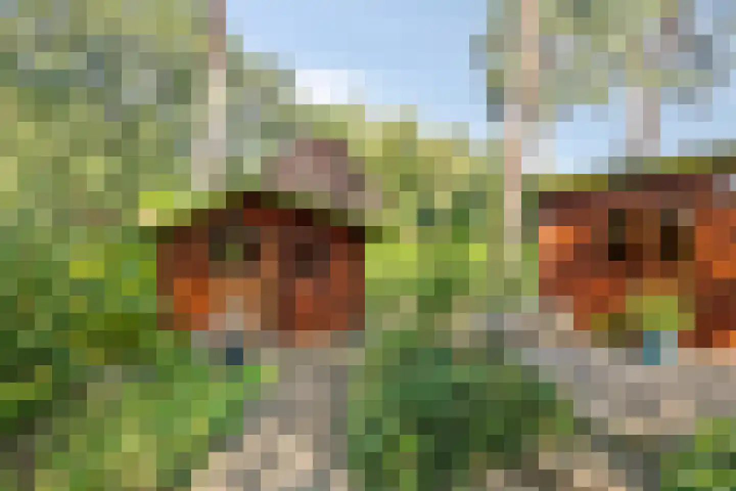 Dwarsweg 3 12 Overberg thumbnail 7