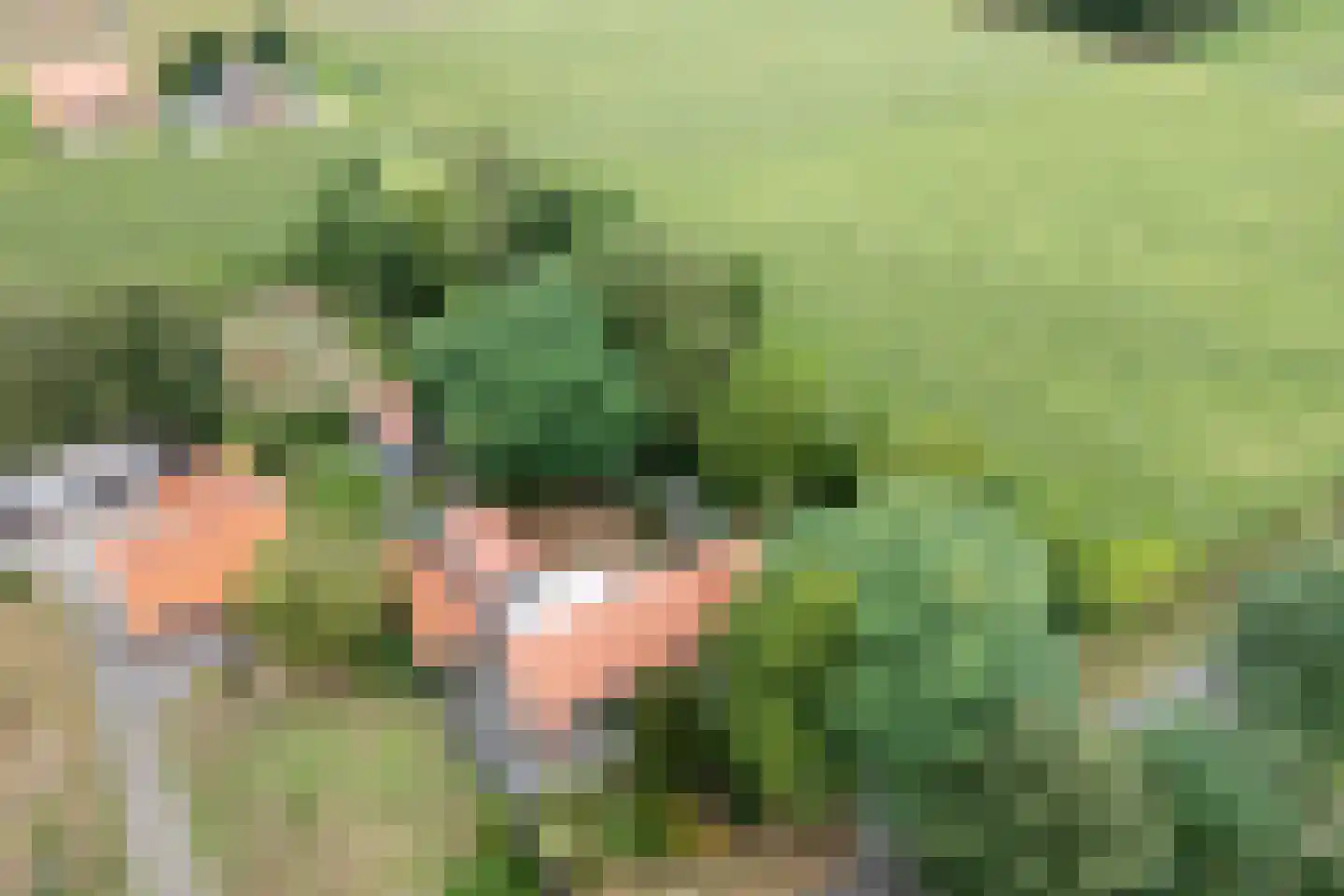 Dwarsweg 3 Bruchterveld thumbnail 10