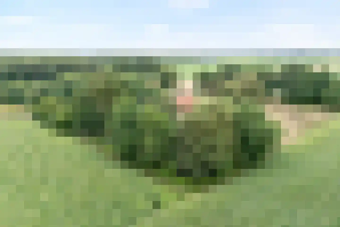 Dwarsweg 3 Bruchterveld thumbnail 11