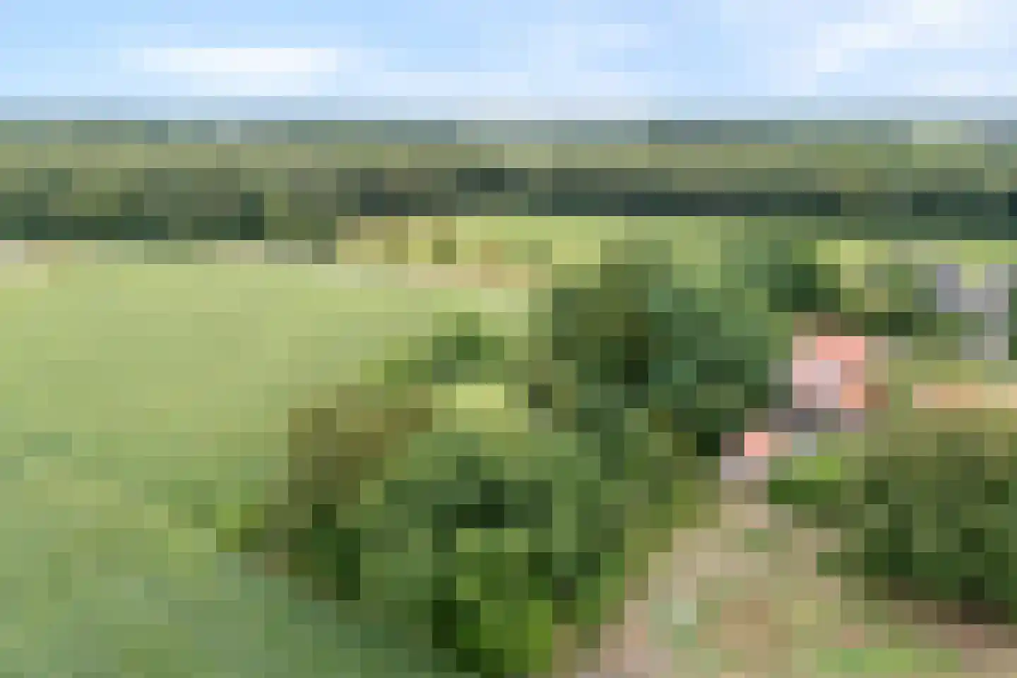 Dwarsweg 3 Bruchterveld thumbnail 12